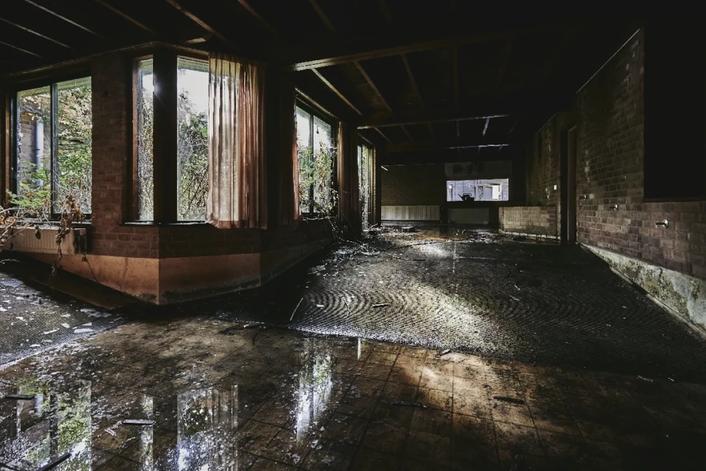 Water Damage Claims Adjuster