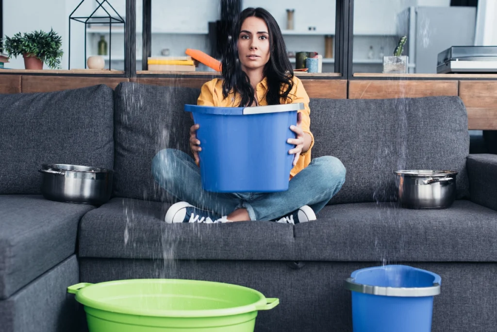 Water Damage Claims Adjuster